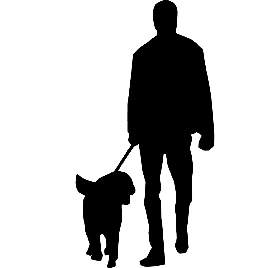 Silhouette of man walking with a dog