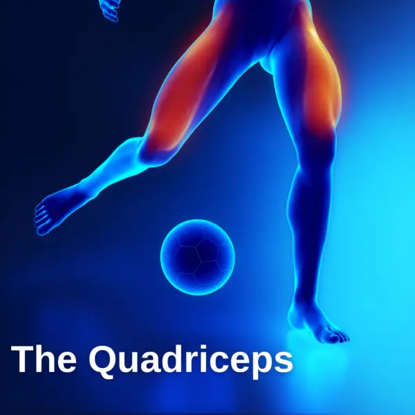 Knee Pain Going Down Stairs? Here's Why (and How to Treat It) – Facts