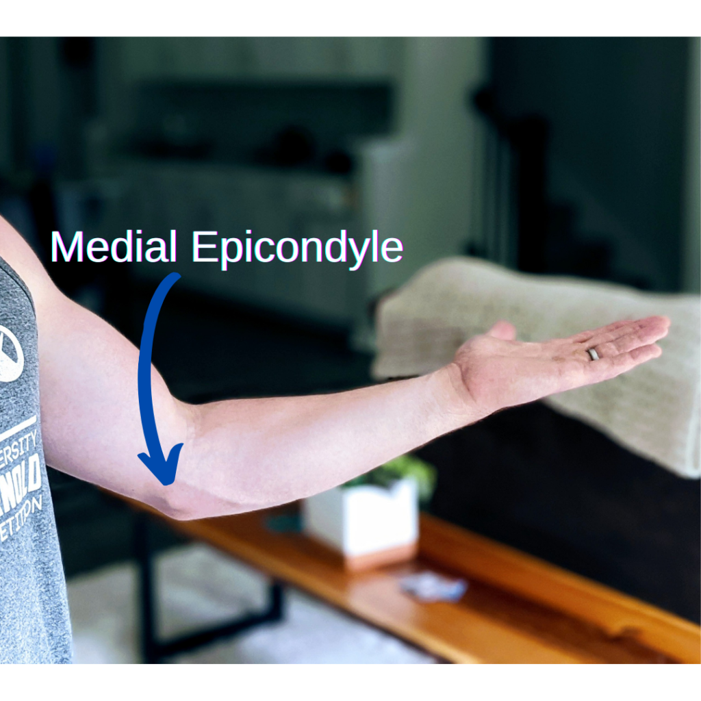 Medial Epicondyle Elbow Anatomy