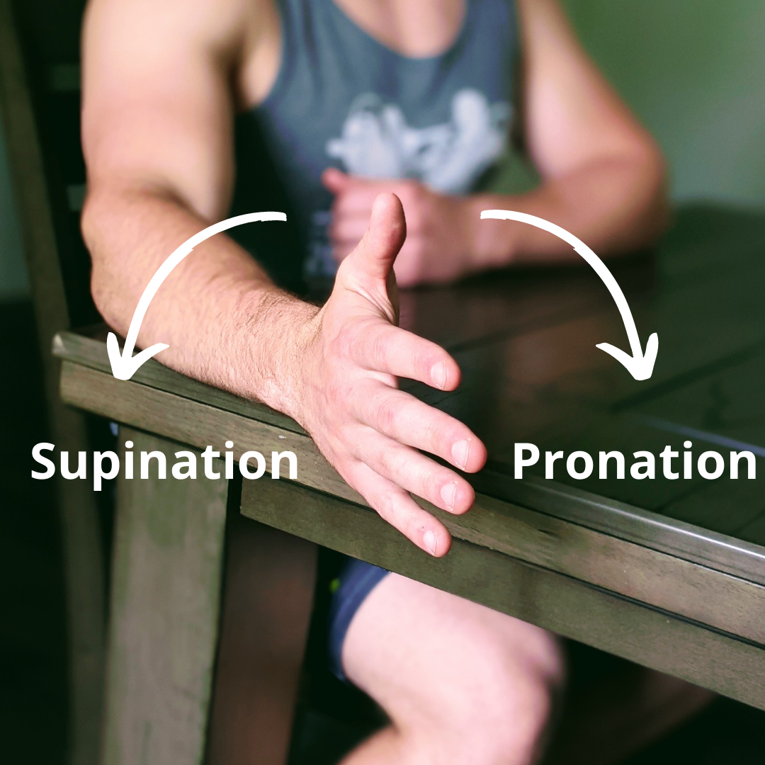 10 Golfer's Elbow Exercises for Proven Pain Relief Facts & Physio