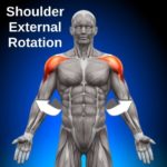 8 Infraspinatus Exercises to Build a Strong Rotator Cuff - Facts & Physio