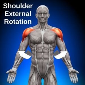 8 Infraspinatus Exercises to Build a Strong Rotator Cuff - Facts & Physio